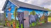 A splash of colour for a rainy day: Alice’s award-winning mural at St Mary’s School  photo